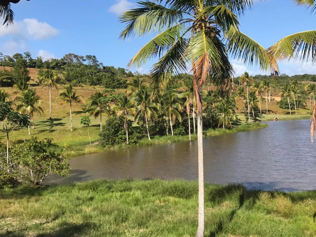 Oka Milagres 22 Villa São Miguel dos Milagres Buitenkant foto